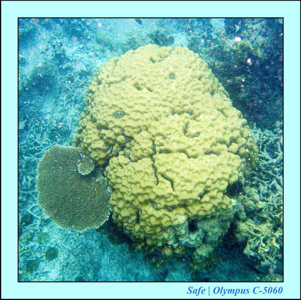 2008 - 07 - Leng Tengah - 093